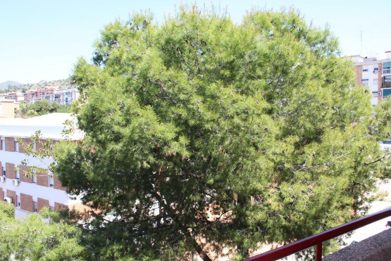 Apartamento Con Parking Gratuito Málaga Buitenkant foto